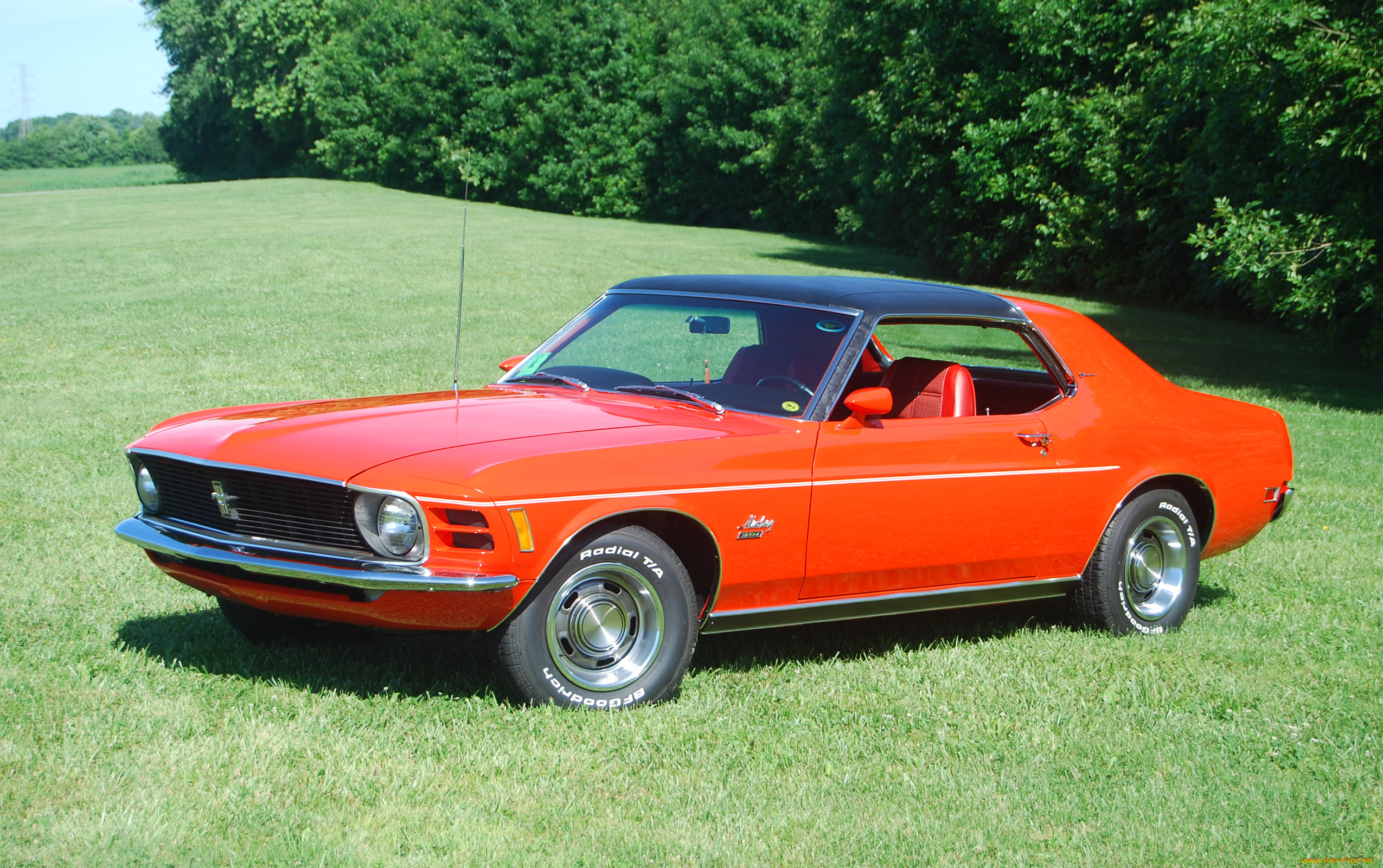 , mustang